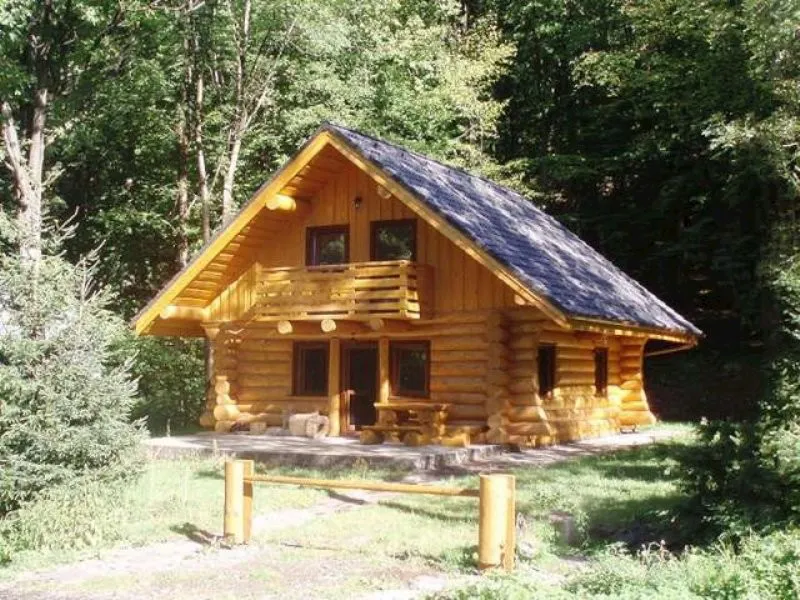 zrub pod koncitou